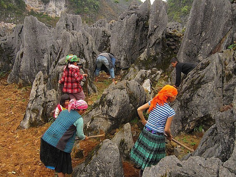 Vietnam Travel 47