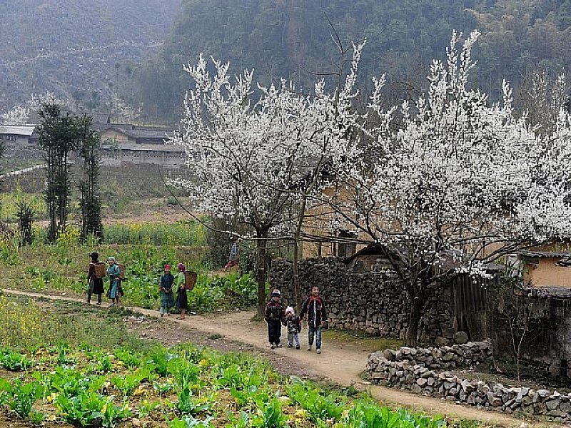 Vietnam Travel 93